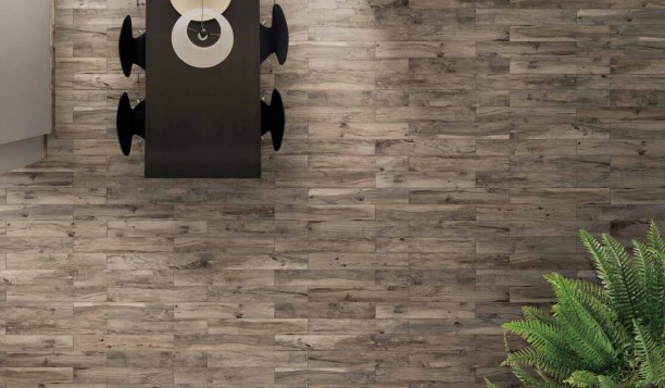 RONDINE - PHOTO AMBIANCE HARD ET SOFT ASH